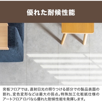 ロパ12 床材 南海プライウッド