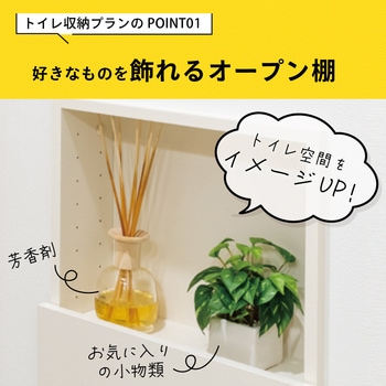 アドキューブ 壁面収納 セットプラン AS000021LWト 南海プライウッド