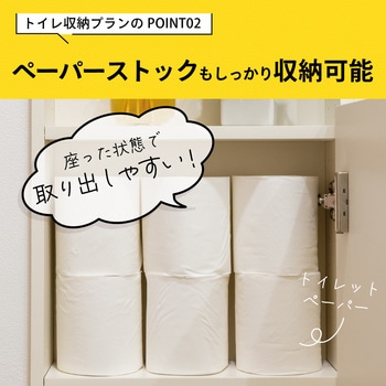 アドキューブ 壁面収納 セットプラン AS000021LWト 南海プライウッド