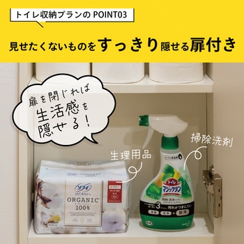 アドキューブ 壁面収納 セットプラン AS000021LWト 南海プライウッド
