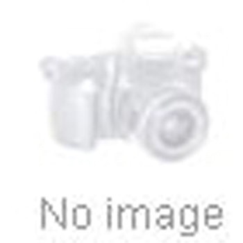 ソレノイドインターロックスイッチ IDEM， M20， 24V ac/dc， IP67， IP69K IDEM