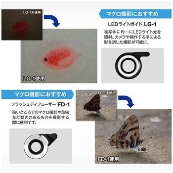 防水防塵デジタルカメラ Tough TG-7 OM SYSTEM