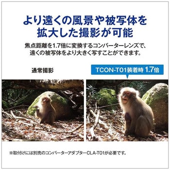 楽天市場】【クーポンで10,980円~】正規品・1年保証 防水カメラ