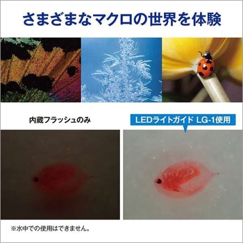 防水防塵デジタルカメラ Tough TG-7 OM SYSTEM