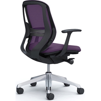 シルフィー 固定肘 背メッシュ ロー ブラックボディ ハンガー無 ランバー有 アルミ脚 - オカムラ(岡村製作所)