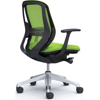 シルフィー 固定肘 背メッシュ ロー ブラックボディ ハンガー無 ランバー有 アルミ脚 - オカムラ(岡村製作所)