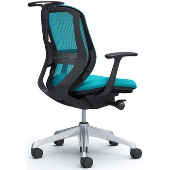 シルフィー 固定肘 背メッシュ ロー ブラックボディ ハンガー有 ランバー有 アルミ脚 オカムラ(岡村製作所)