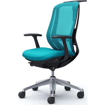 C646BS FMR6 VtB[ ŒI wbV nC ubN{fB nK[L o[L A~r IJ(쏊) fUCA[ u[O[F   C646BS FMR6 47721846