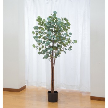 04217 �C���e���A�O���[�� �t�@�~���[�E���C�t 47785415