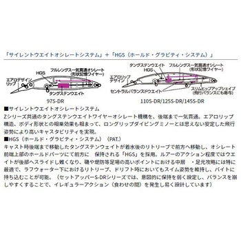 ショアラインシャイナーZ セットアッパー110S-DR DAIWA(ダイワ)