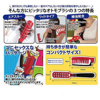 オトモブラシ アヌシ
