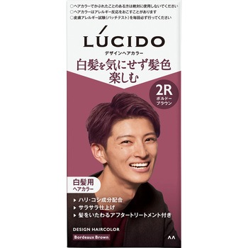ルシード デザインヘアカラー マンダム