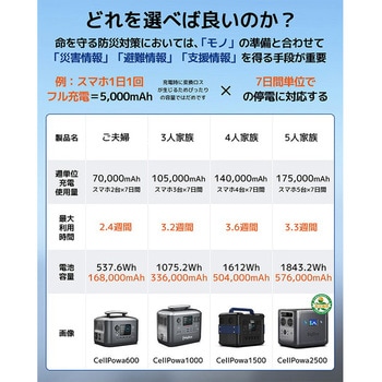 リン酸鉄 ポータブル電源 Cellpowa Bigblue Tech(ビッグブルーテック)