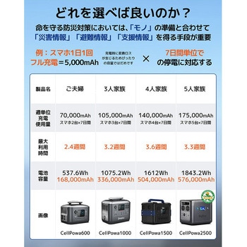 リン酸鉄 ポータブル電源 Cellpowa Bigblue Tech(ビッグブルーテック)