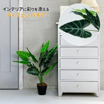 フェイクグリーン ディフェンパキア YAMAZEN(山善)