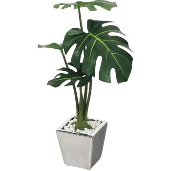 GR4108 �~�j�|�b�g �x���N 47806589