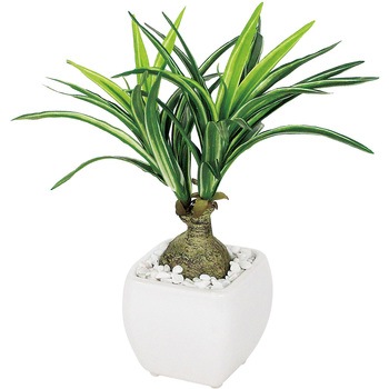 GR4111 �~�j�|�b�g �x���N 47806616