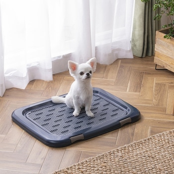 フチもれしにくいトレーニングペットトレー アイリスオーヤマ