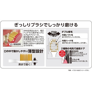 プレミアムケアハブラシ・6列コンパクト エビス(歯ブラシ)