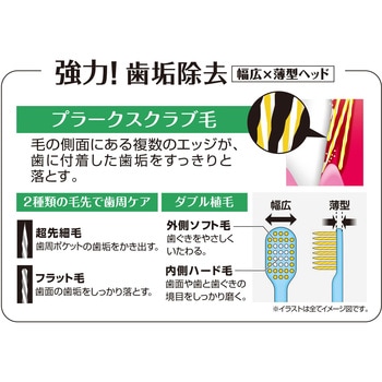 プレミアムケア高歯垢除去・5列コンパクト エビス(歯ブラシ)