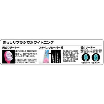 プレミアムケア歯の美白・6列コンパクト エビス(歯ブラシ)