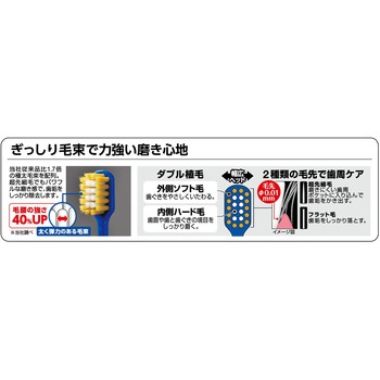 プレミアムケア強力磨き・レギュラー エビス(歯ブラシ)
