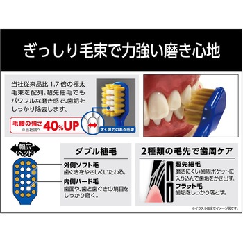 プレミアムケア強力磨き・レギュラー エビス(歯ブラシ)