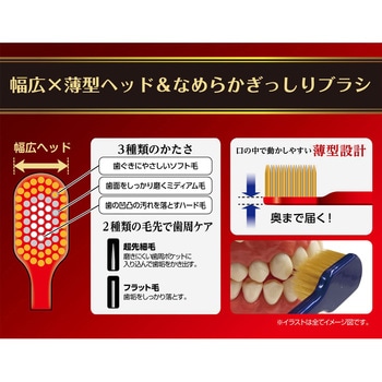 ザ・プレミアムケア 7列レギュラー エビス(歯ブラシ)