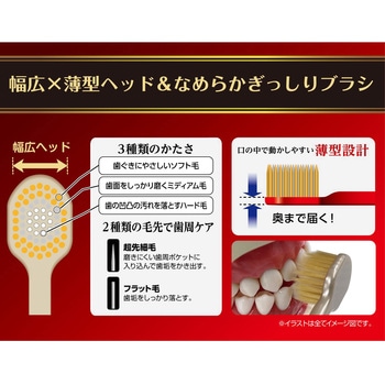 ザ・プレミアムケア 8列レギュラー エビス(歯ブラシ)