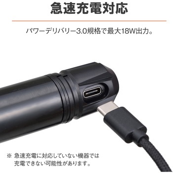マルチバーUSB電源 Type-C DAYTONA(デイトナ)