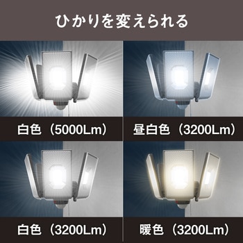 LED-AC4000 12.5W×4灯スライド型LEDセンサーライト 1個 ムサシ 【通販