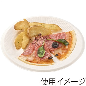 紙皿 バガスペーパーウェア プレート HEIKO