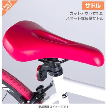 700Cロードバイク 21段変速 GRAPHIS