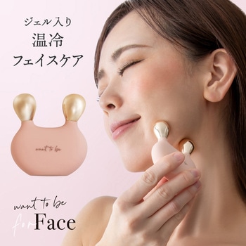 WTB フェイス アルファックス