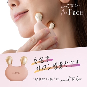 WTB フェイス アルファックス