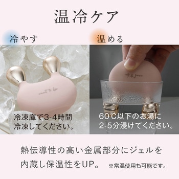 WTB フェイス アルファックス