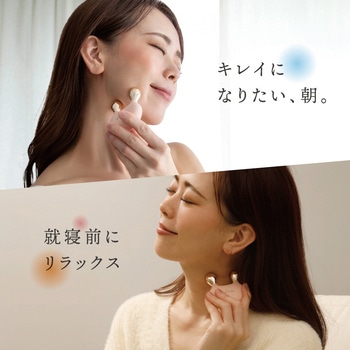 WTB フェイス アルファックス