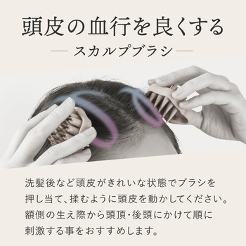 WTB スカルプダブル アルファックス