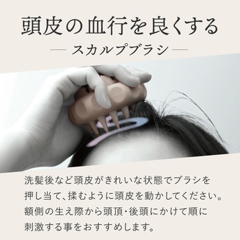 WTB スカルプ アルファックス