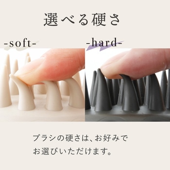 WTB スカルプ アルファックス