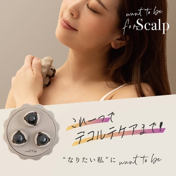 WTB スカルプ アルファックス