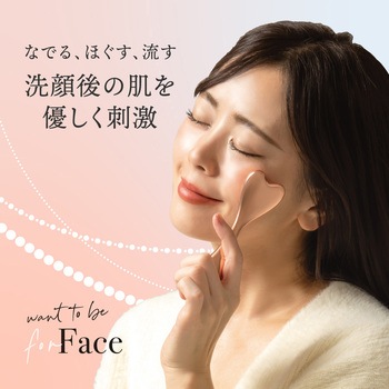 WTB フェイスローラー アルファックス