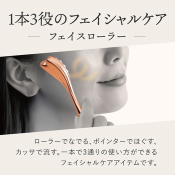 WTB フェイスローラー アルファックス