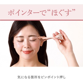 WTB フェイスローラー アルファックス