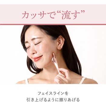WTB フェイスローラー アルファックス