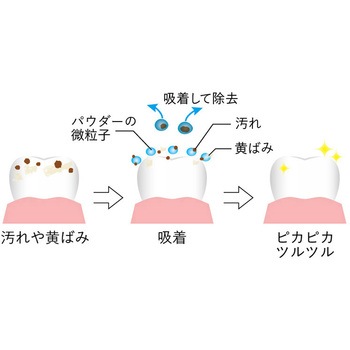 O-CLEAR(オークリア) トゥースホワイトパウダー アルファックス