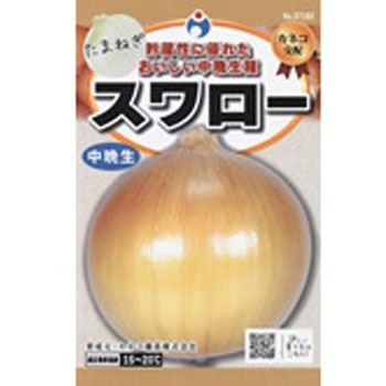 【タネ】カネコ交配 スワロー玉葱 ウタネ