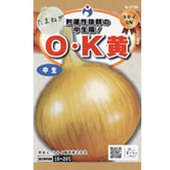 【タネ】タキイ交配 O・K黄玉葱 ウタネ