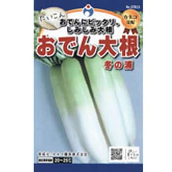 37813 【タネ】カネコ交配 おでん大根冬の浦 1枚(8mL) ウタネ 【通販