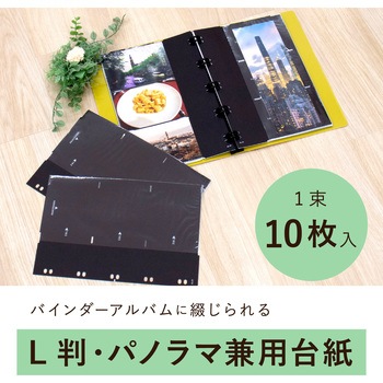 アルバム替台紙 Lサイズ セキセイ